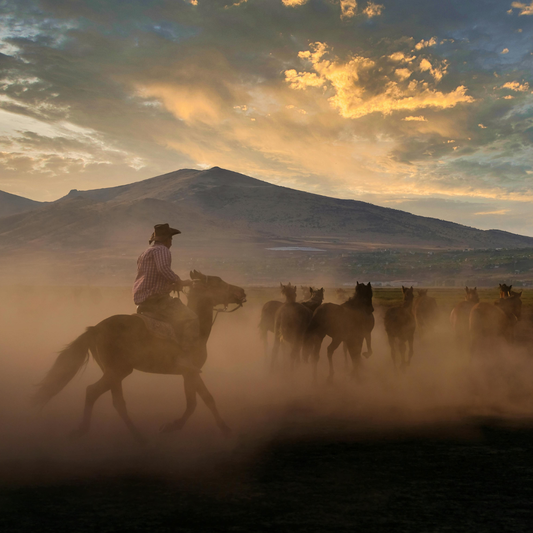Cowboy Blend