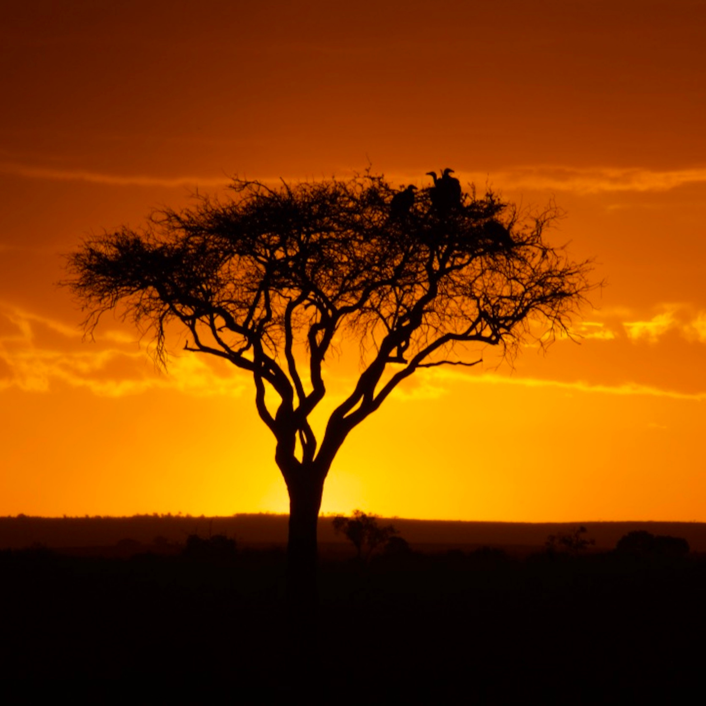 Kenya