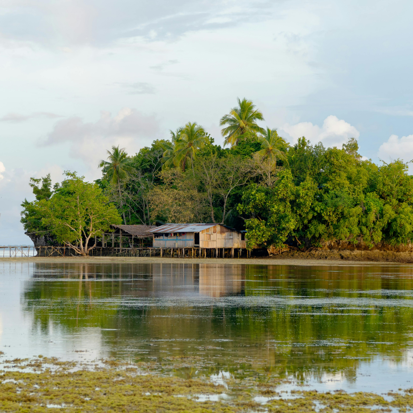 Papua New Guinea