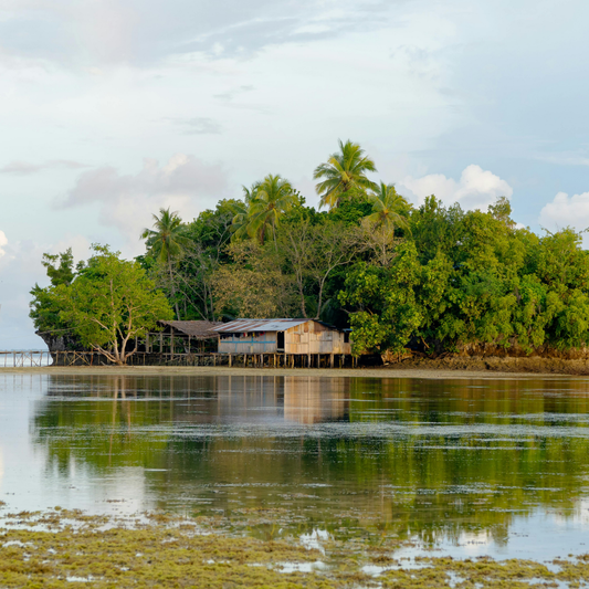 Papua New Guinea