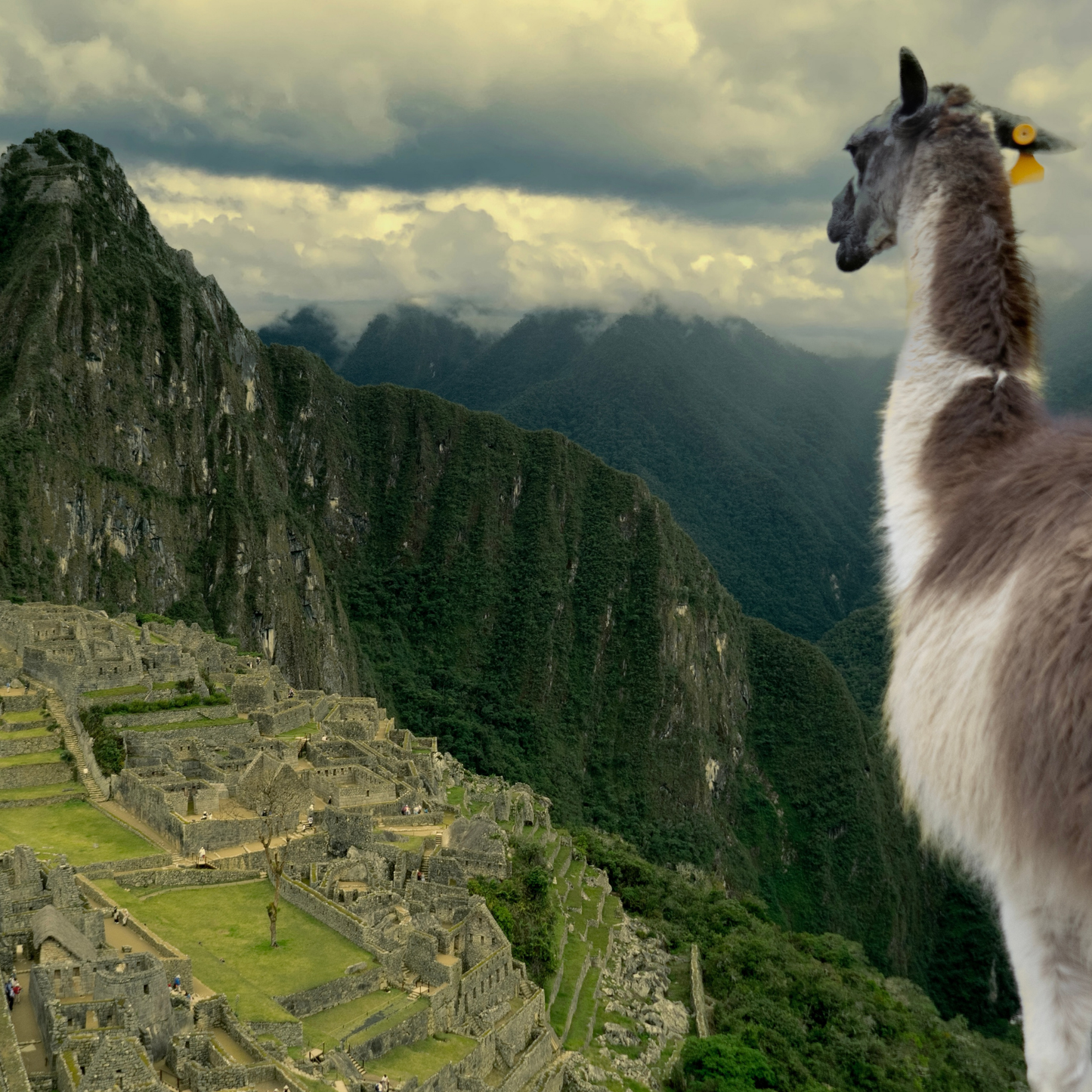 Peru