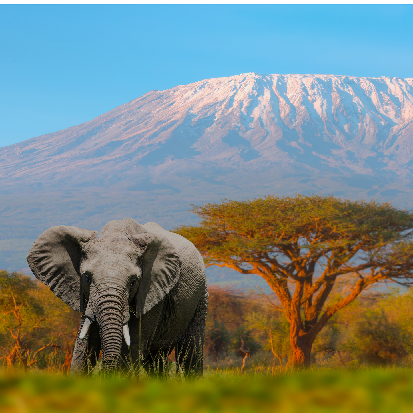 Tanzania