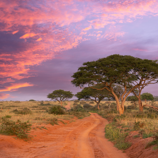 Uganda